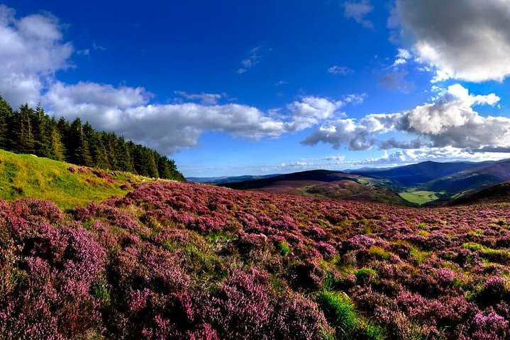 Dagtocht met gids vanuit Dublin naar Glendalough, Wicklow Mountains en Kilkenny, foto 28 | wizardtrip