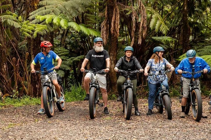 Explora el Parque Nacional de los Volcanes de Hawái en un tour en e-bike Fat Tire, descubriendo túneles de lava y volcanes activos, foto 12 | wizardtrip
