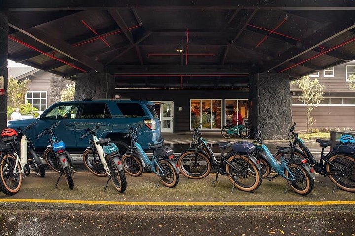 Explora el Parque Nacional de los Volcanes de Hawái en un tour en e-bike Fat Tire, descubriendo túneles de lava y volcanes activos, foto 17 | wizardtrip
