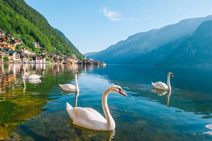 Excursion d'une journée panoramique à Hallstatt et dans le Salzkammergut depuis Vienne, avec des paysages alpins et des villages charmants, photo 16 | wizardtrip