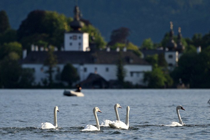Excursion d'une journée panoramique à Hallstatt et dans le Salzkammergut depuis Vienne, avec des paysages alpins et des villages charmants, photo 45 | wizardtrip