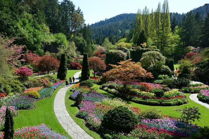The Butchart Gardens Express Shuttle from Downtown Victoria | wizardtrip