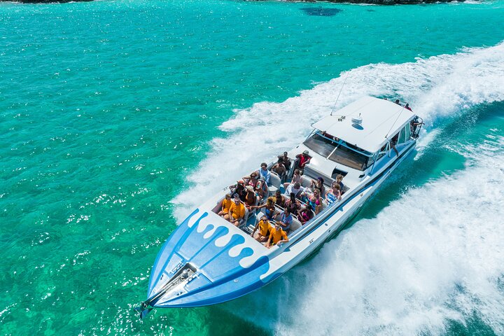 Aventure exaltante en hors-bord vers les Exumas, Bahamas, avec des cochons nageurs et des divertissements sur l'île, photo 7 | wizardtrip