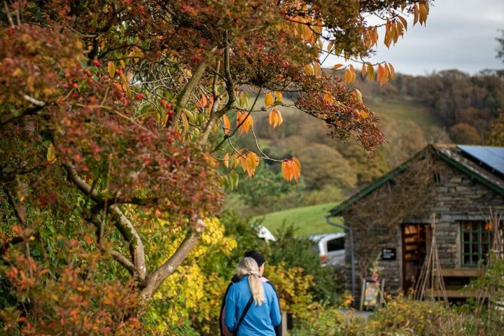 Demi-journée dans le Lake District sur les traces de Beatrix Potter avec croisière | wizardtrip