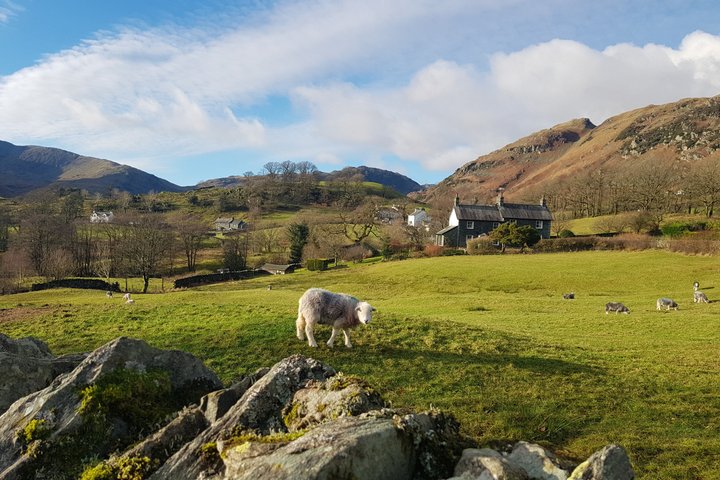 Visite panoramique du Lake District National Park, présentant ses lacs, ses fells et ses sites historiques, photo 11 | wizardtrip