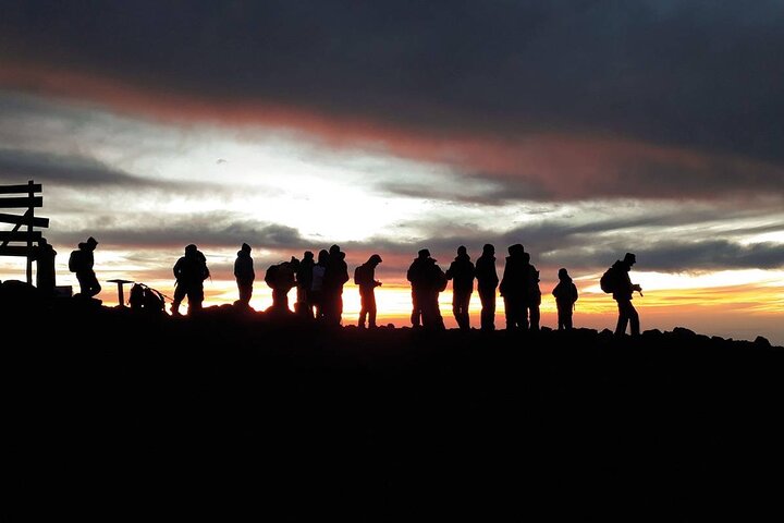 Trek vers le sommet du Mont Kilimandjaro sur la Route Machame, en Tanzanie, photo 6 | wizardtrip