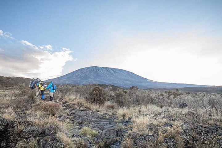 Trek vers le sommet du Mont Kilimandjaro sur la Route Machame, en Tanzanie, photo 8 | wizardtrip