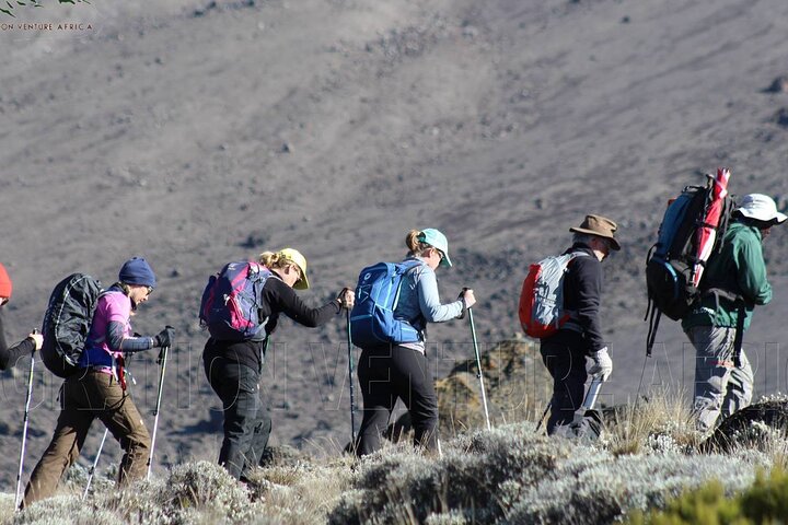 Trek vers le sommet du Mont Kilimandjaro sur la Route Machame, en Tanzanie, photo 10 | wizardtrip