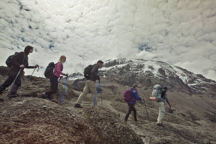 Trek vers le sommet du Mont Kilimandjaro sur la Route Machame, en Tanzanie, photo 12 | wizardtrip