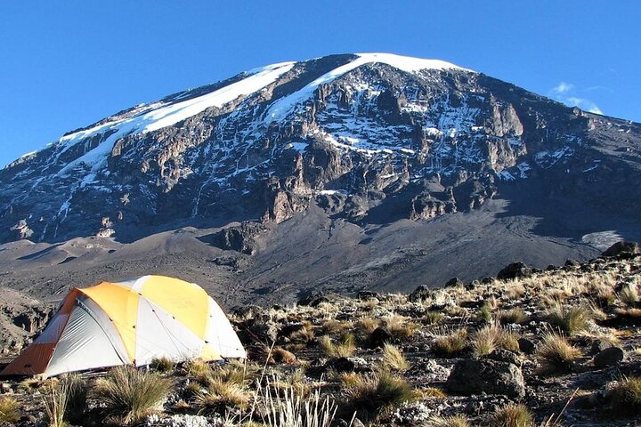 Trek vers le sommet du Mont Kilimandjaro sur la Route Machame, en Tanzanie, photo 15 | wizardtrip