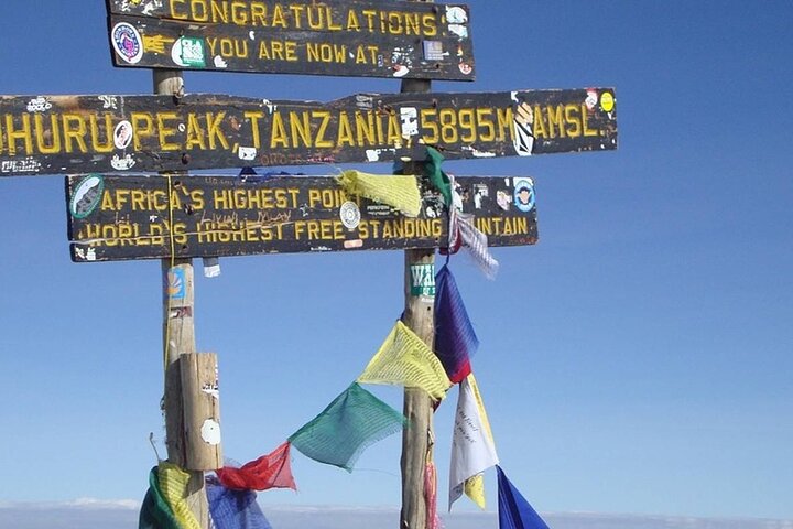 Trek vers le sommet du Mont Kilimandjaro sur la Route Machame, en Tanzanie, photo 19 | wizardtrip
