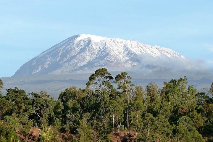 Trek vers le sommet du Mont Kilimandjaro sur la Route Machame, en Tanzanie, photo 21 | wizardtrip