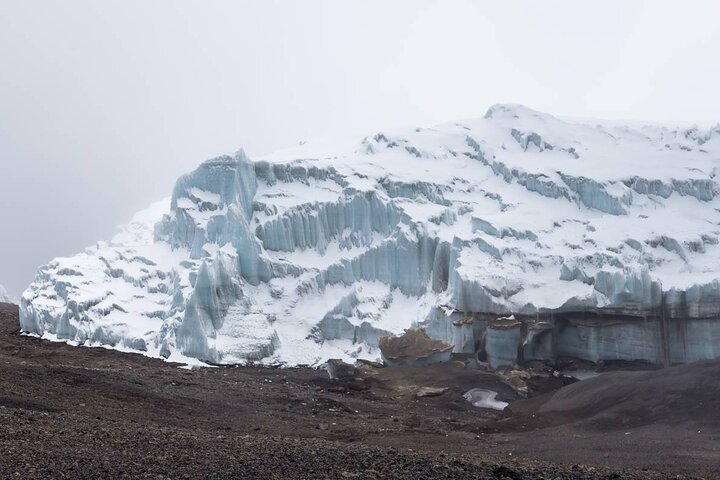 Trek vers le sommet du Mont Kilimandjaro sur la Route Machame, en Tanzanie, photo 24 | wizardtrip