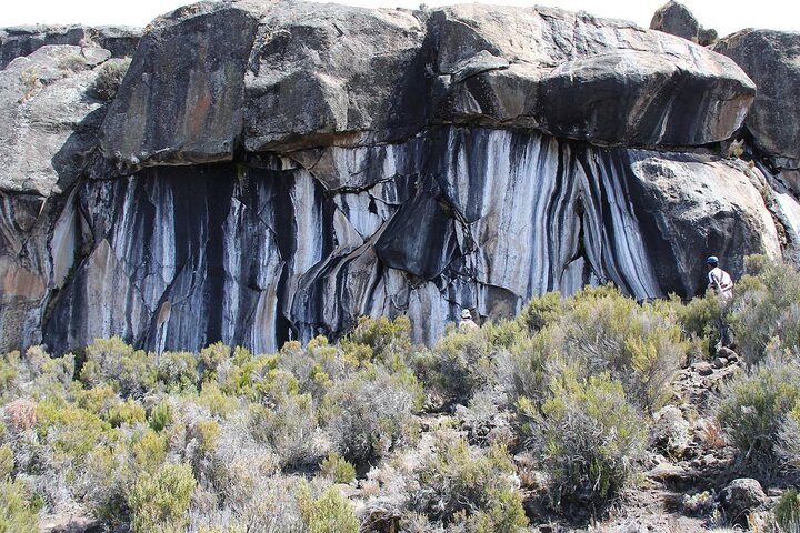Trek vers le sommet du Mont Kilimandjaro sur la Route Machame, en Tanzanie, photo 25 | wizardtrip