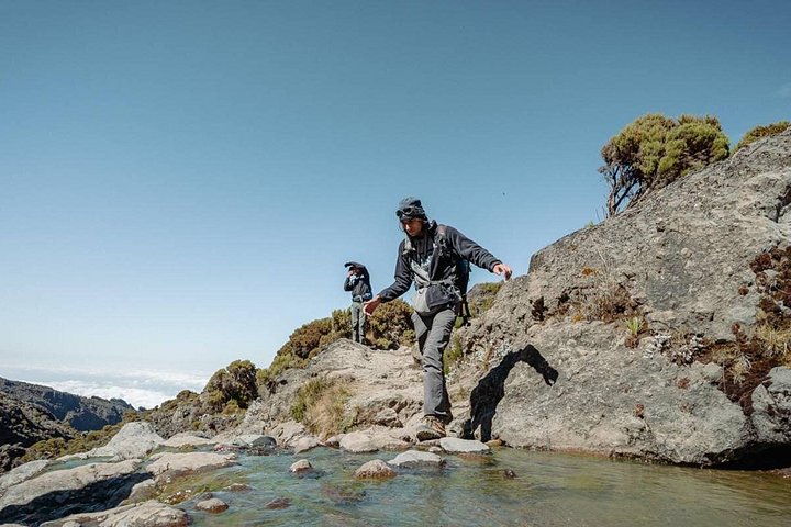 Trek vers le sommet du Mont Kilimandjaro sur la Route Machame, en Tanzanie, photo 28 | wizardtrip