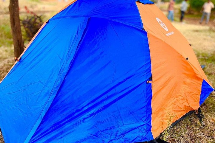 Trek vers le sommet du Mont Kilimandjaro sur la Route Machame, en Tanzanie, photo 29 | wizardtrip