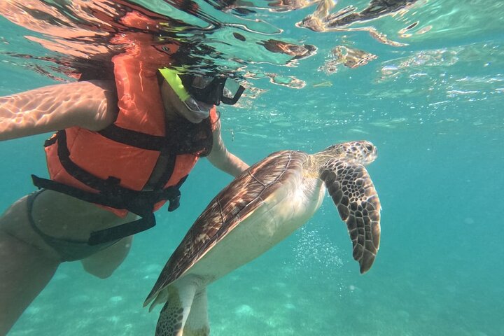 Playa del Carmen | wizardtrip