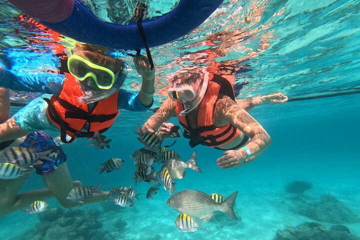 Visite privée de snorkeling avec des tortues marines dans la baie d'Akumal, Mexique, photo 15 | wizardtrip