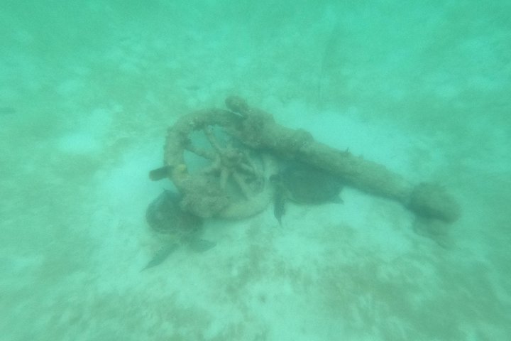 Visite privée de snorkeling avec des tortues marines dans la baie d'Akumal, Mexique, photo 21 | wizardtrip