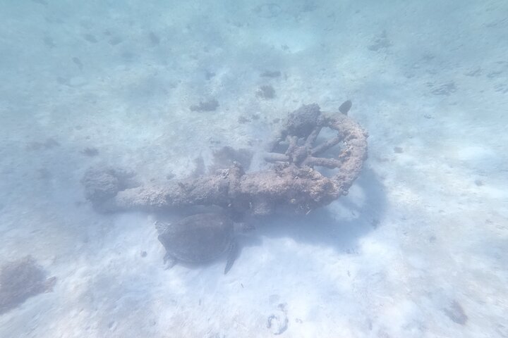 Visite privée de snorkeling avec des tortues marines dans la baie d'Akumal, Mexique, photo 22 | wizardtrip