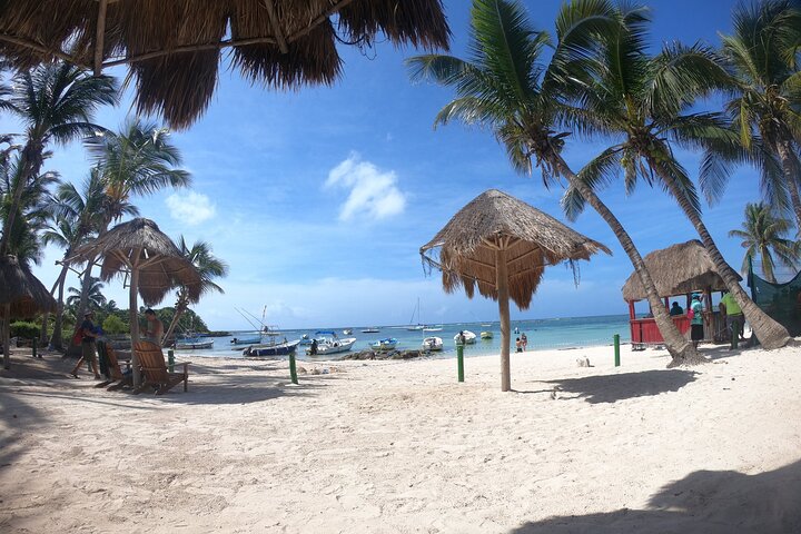 Visite privée de snorkeling avec des tortues marines dans la baie d'Akumal, Mexique, photo 28 | wizardtrip