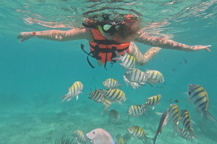 Visite privée de snorkeling avec des tortues marines dans la baie d'Akumal, Mexique, photo 35 | wizardtrip