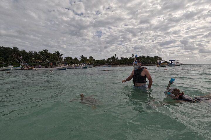 Visite privée de snorkeling avec des tortues marines dans la baie d'Akumal, Mexique, photo 38 | wizardtrip