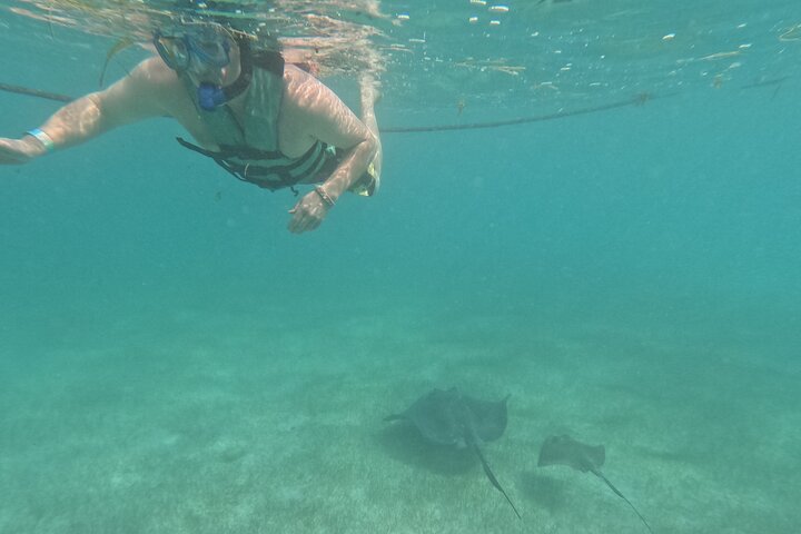 Visite privée de snorkeling avec des tortues marines dans la baie d'Akumal, Mexique, photo 39 | wizardtrip