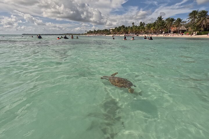 Visite privée de snorkeling avec des tortues marines dans la baie d'Akumal, Mexique, photo 40 | wizardtrip