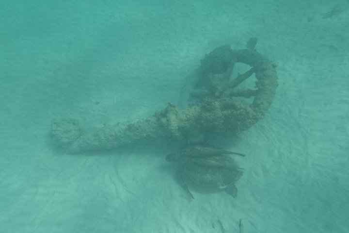Visite privée de snorkeling avec des tortues marines dans la baie d'Akumal, Mexique, photo 42 | wizardtrip