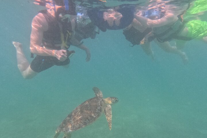 Visite privée de snorkeling avec des tortues marines dans la baie d'Akumal, Mexique, photo 43 | wizardtrip