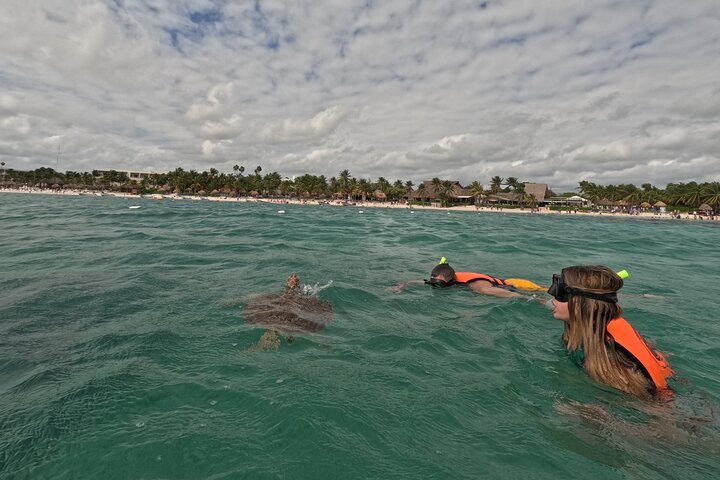 Visite privée de snorkeling avec des tortues marines dans la baie d'Akumal, Mexique, photo 45 | wizardtrip