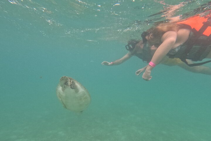 Visite privée de snorkeling avec des tortues marines dans la baie d'Akumal, Mexique, photo 47 | wizardtrip