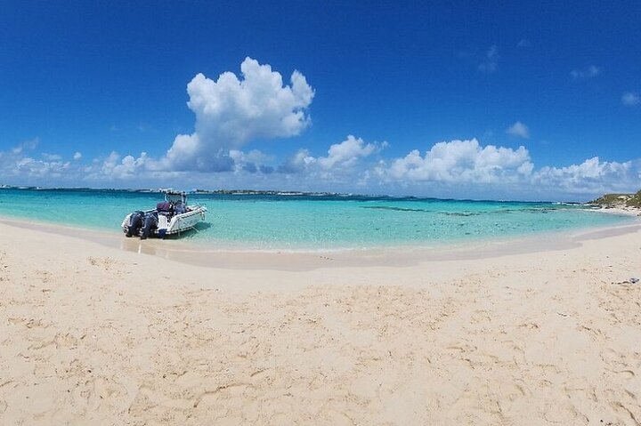 Aventura de snorkeling em Grand Turk com passeio de barco, exploração de recifes e encontros com arraias, foto 7 | wizardtrip