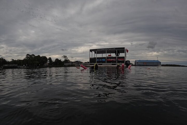 Small group manatee swim tour in Crystal River, Florida, with included photo package, photo 9 | wizardtrip