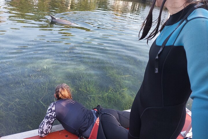 Small group manatee swim tour in Crystal River, Florida, with included photo package, photo 14 | wizardtrip