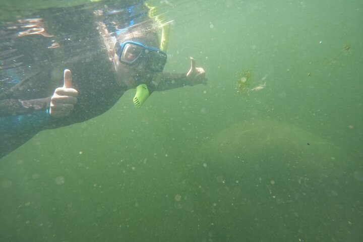 Small group manatee swim tour in Crystal River, Florida, with included photo package, photo 15 | wizardtrip