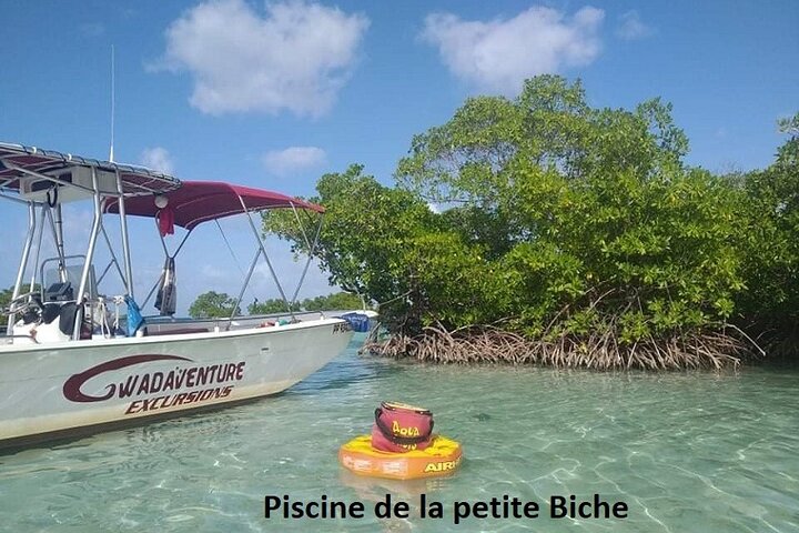 Bådtur-eventyr i Guadeloupe-lagunen, udforskning af mangrover og holme, foto 6 | wizardtrip