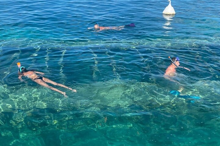 Bådtur-eventyr i Guadeloupe-lagunen, udforskning af mangrover og holme, foto 12 | wizardtrip