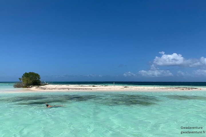Bådtur-eventyr i Guadeloupe-lagunen, udforskning af mangrover og holme, foto 13 | wizardtrip