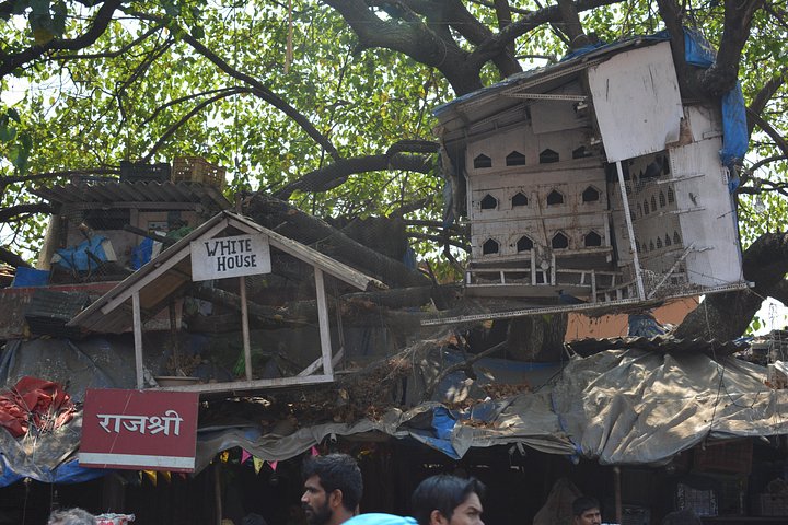 En omfattende heldagstur til Mumbais vartegn og Dharavi slumkvarteret, foto 13 | wizardtrip
