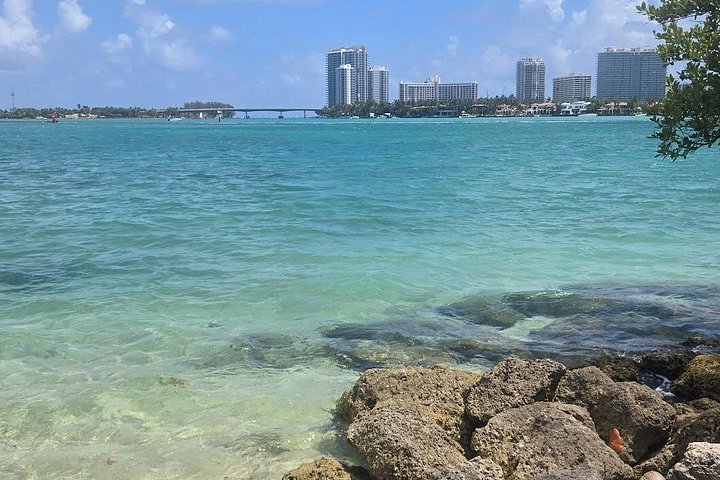 Kayaking and boat tour to Raccoon Island in Miami, exploring wildlife and ecosystems, photo 7 | wizardtrip