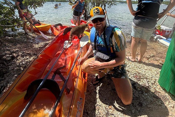 Kayaking and boat tour to Raccoon Island in Miami, exploring wildlife and ecosystems, photo 10 | wizardtrip