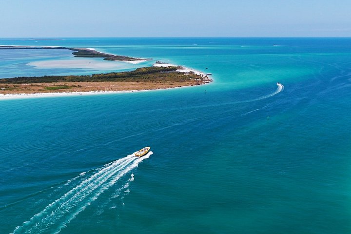 Tour in barca per l'avvistamento dei delfini nelle acque di St. Pete Beach, Florida, foto 6 | wizardtrip