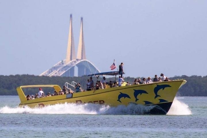 Tour in barca per l'avvistamento dei delfini nelle acque di St. Pete Beach, Florida, foto 11 | wizardtrip