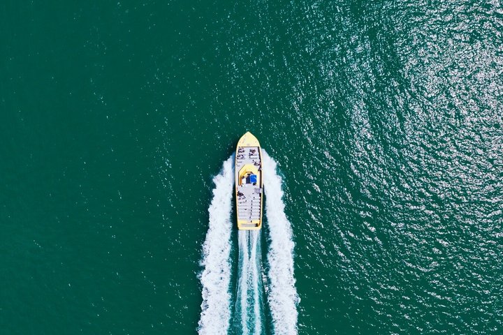 Tour in barca per l'avvistamento dei delfini nelle acque di St. Pete Beach, Florida, foto 12 | wizardtrip