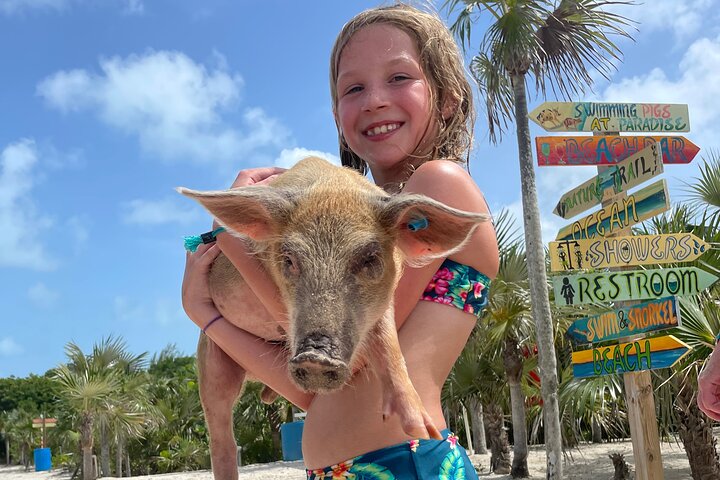 Nade com porcos e mergulhe com tartarugas num passeio de barco em Nassau, Bahamas, foto 7 | wizardtrip