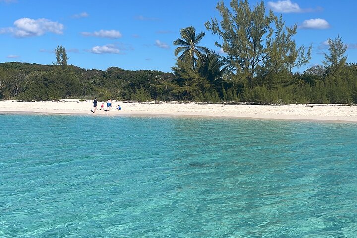 Nade com porcos e mergulhe com tartarugas num passeio de barco em Nassau, Bahamas, foto 11 | wizardtrip