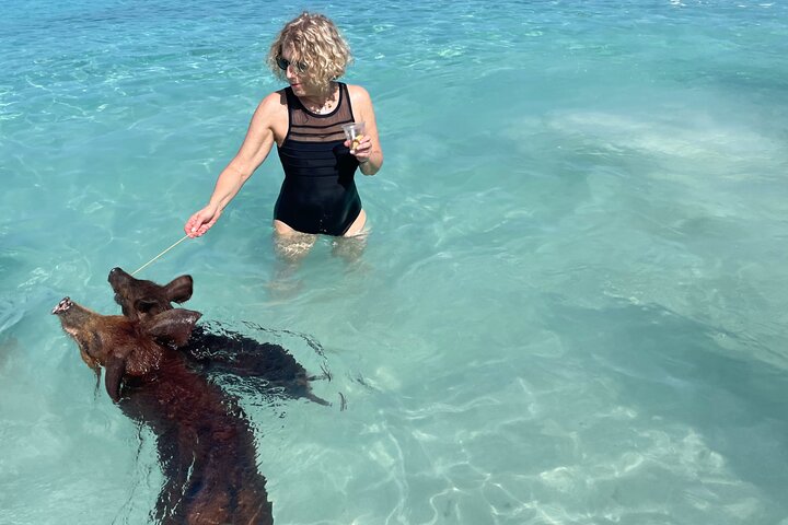 Nade com porcos e mergulhe com tartarugas num passeio de barco em Nassau, Bahamas, foto 13 | wizardtrip