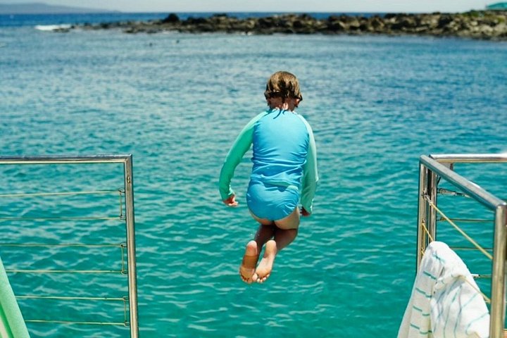 Snorkelavontuur op Maui met dolfijnen, schildpadden en schilderachtige kustgezichten, foto 9 | wizardtrip